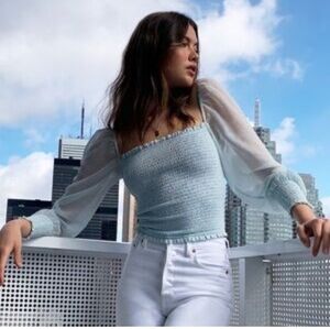Aritzia Light Blue Blouse with Sheer Sleeves